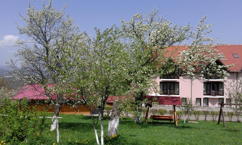Hotel Sofia Bran  Exterior foto
